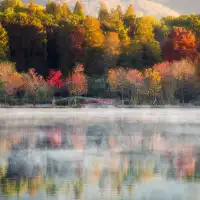 入了秋,南京便成了金陵