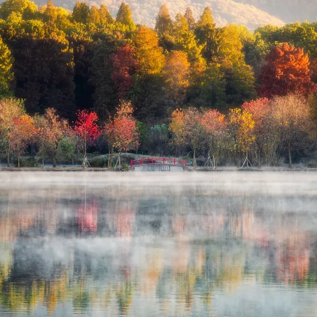 入了秋,南京便成了金陵 入了秋,南京便成了金陵