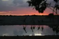 在非洲納米比亞9天全程幸福微醺