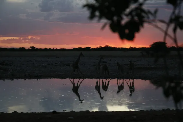 在非洲納米比亞9天全程幸福微醺