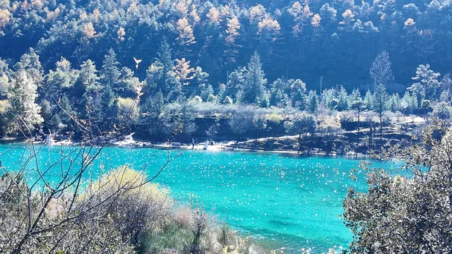 大理-麗江-香格里拉旅遊記錄 大理-麗江-香格里拉旅遊記錄