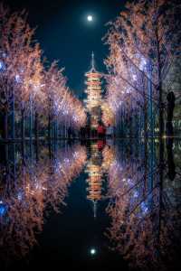 龍華古鎮賞秋攻略