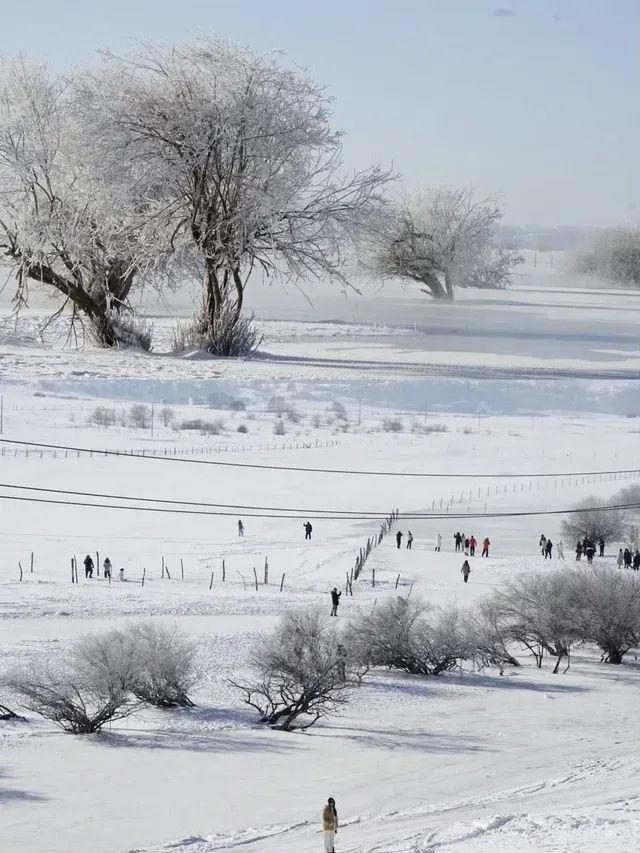 不是新疆去不起！烏蘭布統冬日秘境太香了~