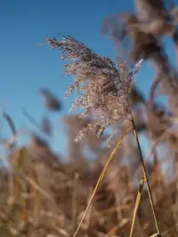 西安世博園保姆級遊覽攻略