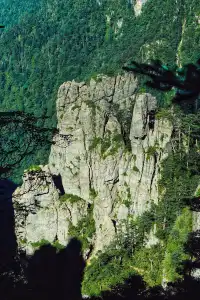 神農谷底實拍‖走進仙境裡了