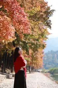 永嘉紅楓古道的紅楓紅了