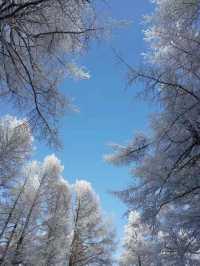 2025初雪赴一場蘆芽山冰雪奇緣!古堡溫泉全攻略