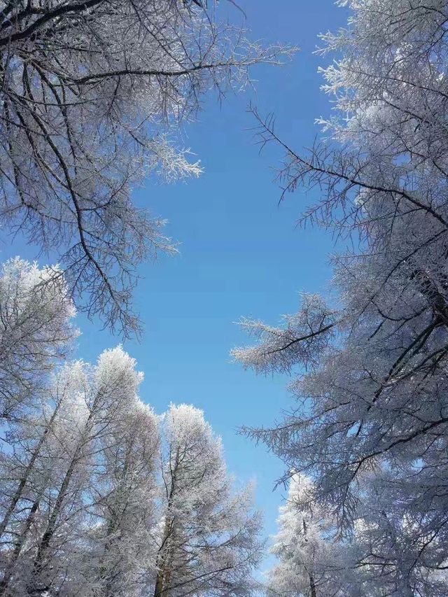 2025初雪赴一場蘆芽山冰雪奇緣!古堡溫泉全攻略 2025初雪赴一場蘆芽山冰雪奇緣!古堡溫泉全攻略