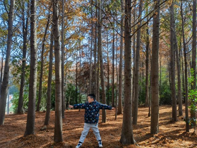 上海秋日出遊優選地 上海秋日出遊優選地