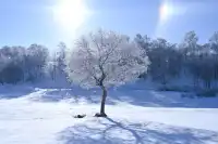 冬天看雪我還是決定去烏蘭布統...