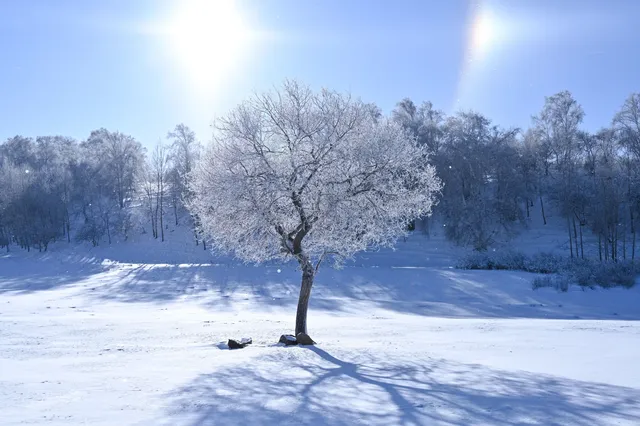 冬天看雪我還是決定去烏蘭布統...