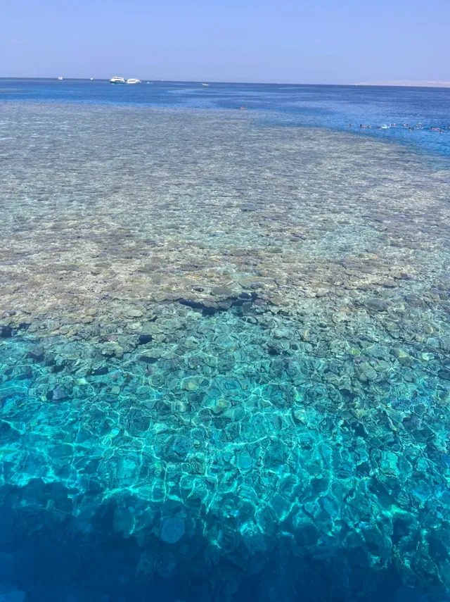 別問了!!是埃及!!不是馬爾代夫 別問了!!是埃及!!不是馬爾代夫