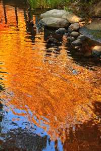 魔都賞秋封神路線!0元拍出大片感