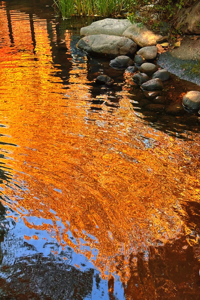 魔都賞秋封神路線!0元拍出大片感 魔都賞秋封神路線!0元拍出大片感