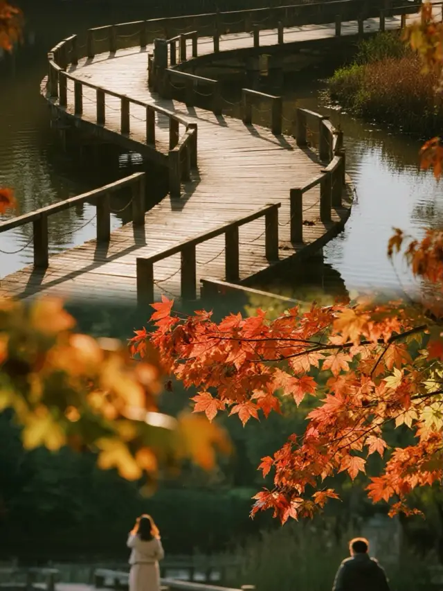 Subway Direct Access! This Free Campsite Lets Kids Burn Energy All Day Long