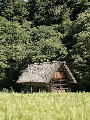 夏日名古屋必打卡！這篇小眾攻略收好囉