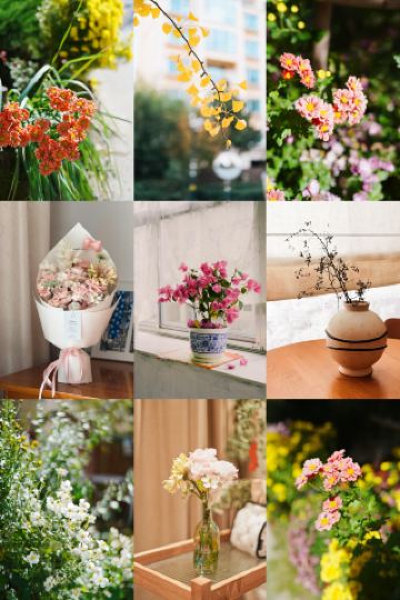 在長沙被花花世界包圍的治癒假期！