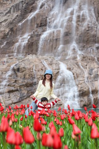 ทริปเที่ยวแบบไปเช้าเย็นกลับกับเด็กๆ – ดอกทิวลิปที่เป่าฉวนสวยงามมากจนเราไม่อยากกลับเลย!