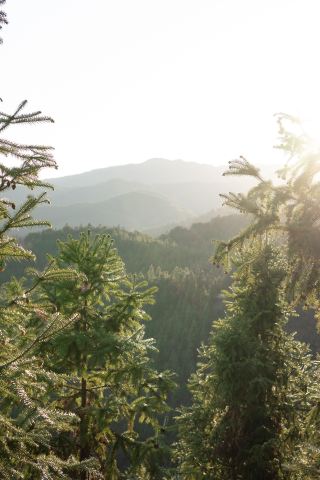 Sanbao Village's Stunning Flower Viewing, Hiking, and Mountain Climbing Routes