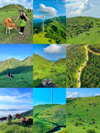 Exploded, exploded, Guangdong is stunningly beautiful