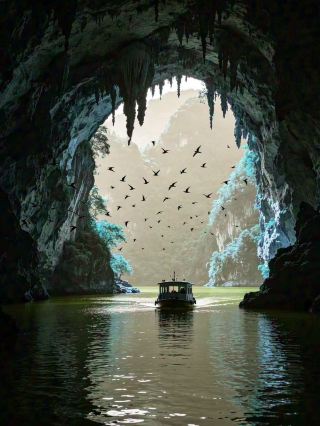 広西の秘境ガラス水と魚群の嵐