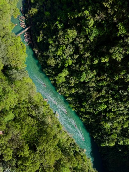中国のセンポルナに突入！屏山峡谷の翡翠のガラスの海はまるで空中に