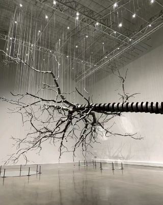 Practical guide to Xibei contemporary art museum