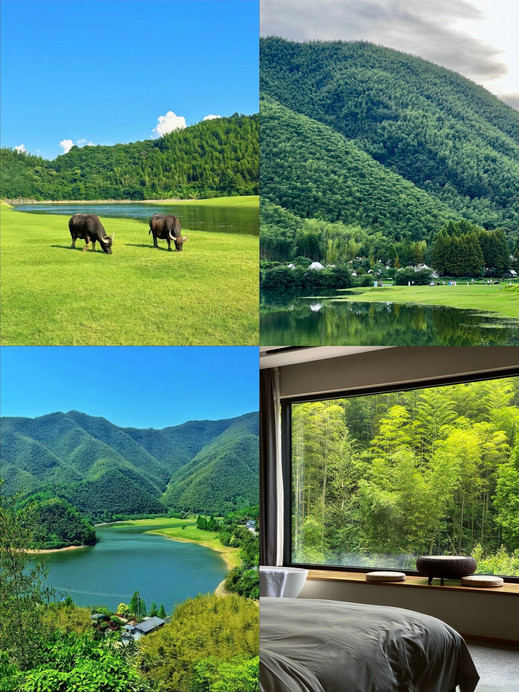 中国大竹海(卧虎藏龙取景地) 参考图 4
