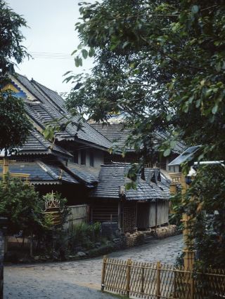 發現普洱小眾秘境比景邁山人少景美的