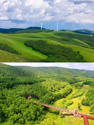 Fengning Qicai Forest: A 16℃ Summer Retreat Haven in the Beijing Suburbs – Complete Guide to Dining, Accommodation, and Entertainment