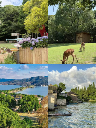 It’s not that Erhai Lake is unreachable! Cycling and picnicking at Dongqian Lake is the ultimate family outing for Jiangsu, Zhejiang, and Shanghai