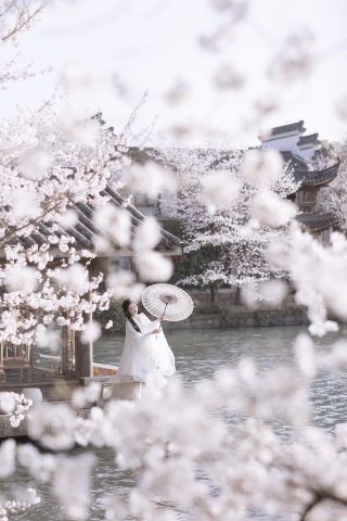 杭州の庭に隠れた桜と漢服の写真集｜夢渓苑があまりにも幻想的すぎる