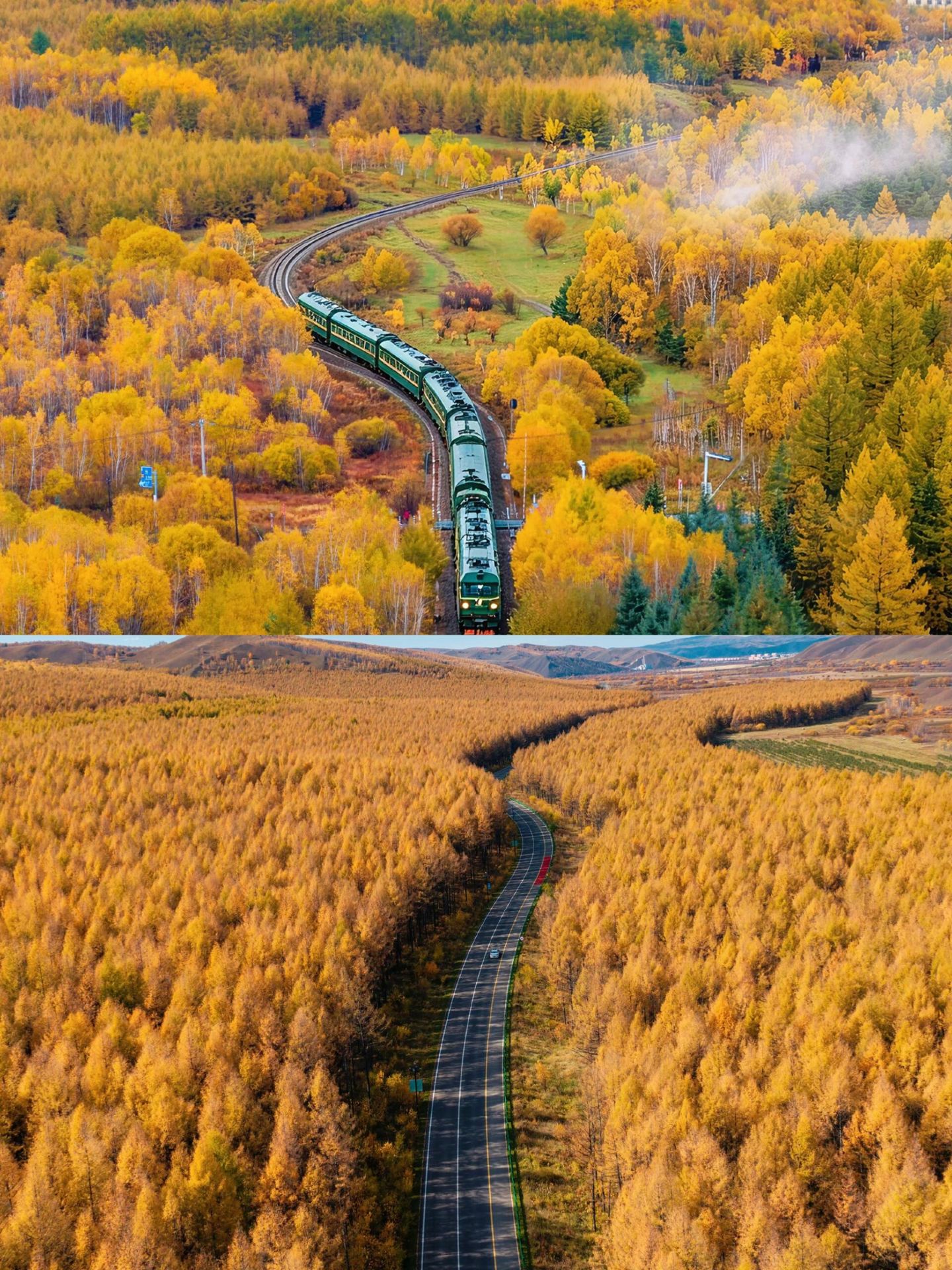 Healed by autumn, this golden hue is stunning
