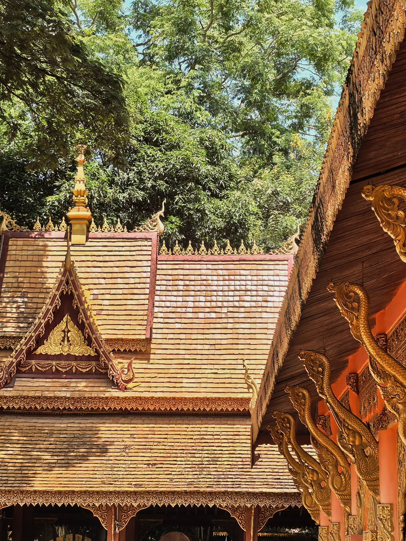 Tour 9 ngày đến Yuxi-Pu'er-Xishuangbanna trong kỳ nghỉ Quốc Khánh | Lịch trình chi tiết