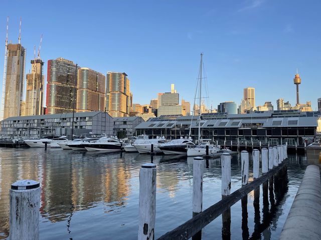 澳洲｜新南威爾士州｜雪梨 達令港Darling Harbour  不管白天夜晚都有不同的感覺