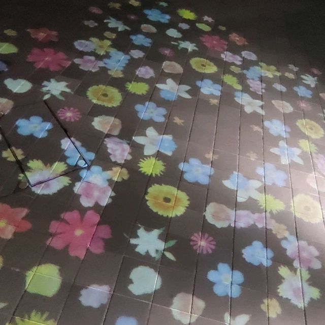 ✨LED夢幻玫瑰花海🌹添馬公園✨