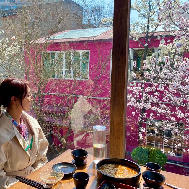 🌸살구꽃+목련조합 뷰 맛집추천 🕊