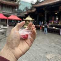 Lungshan Temple 龍山寺