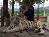 สวนสัตว์หัวหิน ซาฟารี
