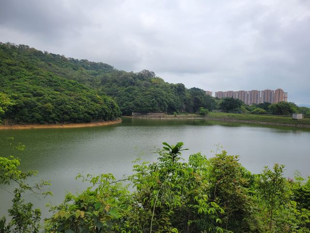 香港僅餘的獨特風貌 香港僅餘的獨特風貌