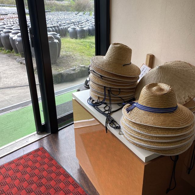 鹿児島県「桷志田」で壺畑見学と黒酢ランチ