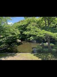 【兵庫県】姫路城散策の後に "好古園"