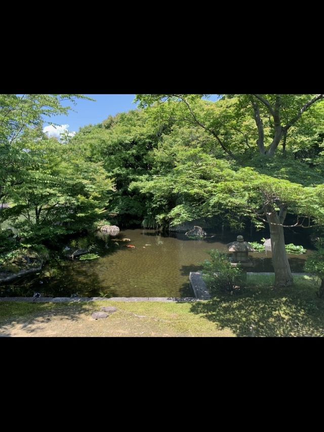 【兵庫県】姫路城散策の後に "好古園"