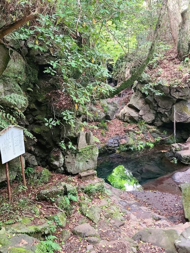 【静岡】白糸ノ滝
