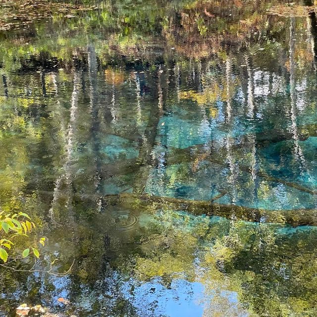 【北海道】摩周湖から生まれた神秘の湖「神の子池」