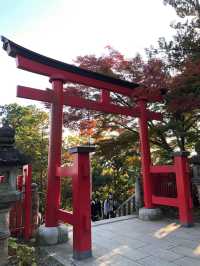 東京市內必去🤪高尾山藥王院😚一日遊推薦😎親子遊最佳景點