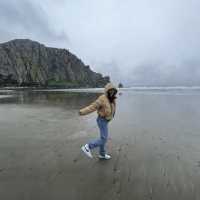 Morro Rock Beach แคลิฟอร์เนีย, อเมริกา