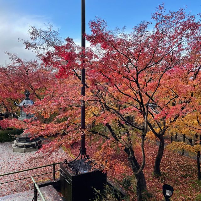 【京都NO.1紅葉🍁スポット、永観堂】