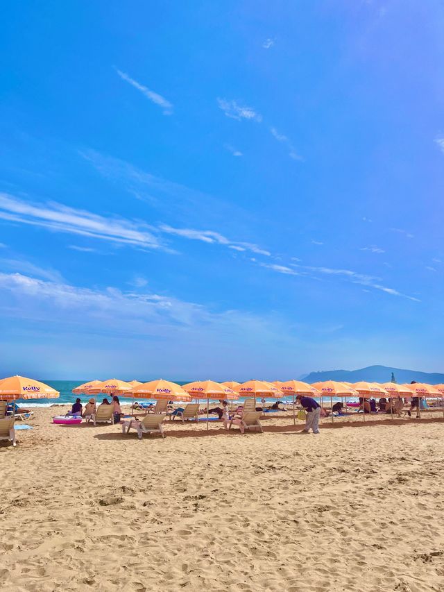 여름 휴가철 해수욕장은 역시 해운대🏖️ 여름 휴가철 해수욕장은 역시 해운대🏖️