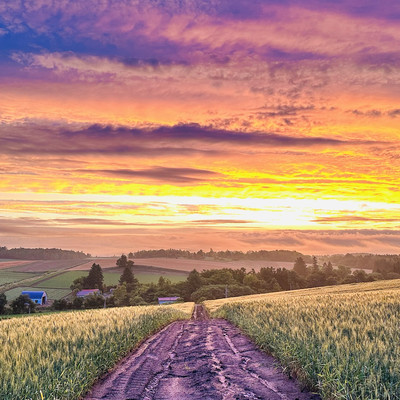 美瑛の丘から見た朝焼け | Trip.com 美瑛